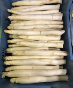 Actie asperge 5 kilo